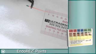 Root Canal Obturation using EndoEze EndoREZ from Ultradent [upl. by Ambrose]