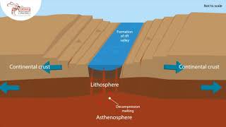 Tectonic Processes  Compilation [upl. by Jyoti]