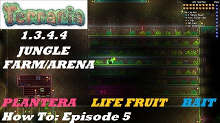 Terraria 1344 HOW TO  Build a HOME Jungle Farm  Plantera Life Fruits Bait  MORE  Episode 5 [upl. by Ehcnalb]