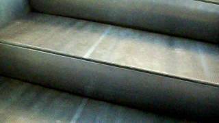 Classic OTIS escalators  Sibleys in Rochester NY [upl. by Enohs]