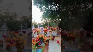 diademuertos panteon ocotlan santa Ana Zegache [upl. by Rahmann]