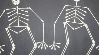 Craft  Cotton Swab Skeleton [upl. by Mcclimans451]