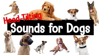 Sounds for Dogs  HeadTilting Sounds Your Dog Will Love [upl. by Llenrod]