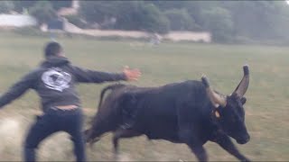 fête des vendanges à Saint Hilaire de Beauvoir 2016 [upl. by Netti]