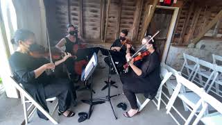 Bridgerton Spring Recomposed by Max Richter performed by String Quartet [upl. by Hennahane513]