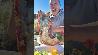 Everything We Ate In Kaikoura New Zealand 🇳🇿 Freshest Seafood We’ve Ever Had [upl. by Rendrag]