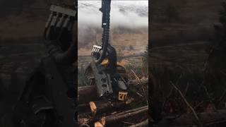 Ultimate Forest Harvesting Machine Beast 11  Extreme Dangerous Big Chainsaw Cutting Tree Machines [upl. by Akimahs]