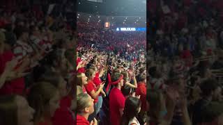 Bear Down Arizona  Arizona Fight Song collegefightsongs beardown fightsong [upl. by Neveda]