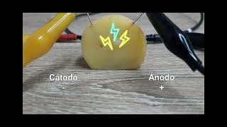 Efecto de electroforesis y electrólisis de la corriente Galvánica [upl. by Naujuj120]