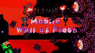 Terraria TModLoader mobile Calamity Mod  Revengeance  Death Wall of Flesh [upl. by Martinic]