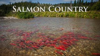 Alaska Salmon Country  Sockeye City [upl. by Adnamar]