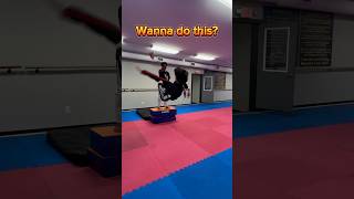 WANNA DO THIS taekwondo martialarts tkdaction funny challenge [upl. by Cha659]