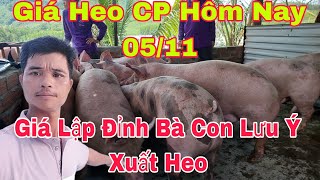 Giá Heo Hơi Ngày Hôm Nay 0511 Khả Năng Giá Lập Đỉnhnongtraihoakieu [upl. by Fidellia]