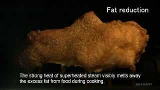 Demonstration of Fat Removal and Salt Reduction Using the Healsio Water Oven [upl. by George]