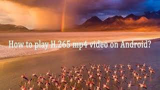 How to play H265 mp4 video on Android [upl. by Jacobine]