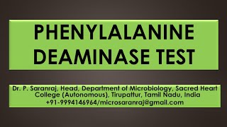 Phenylalanine Deaminase Test [upl. by Cheri]