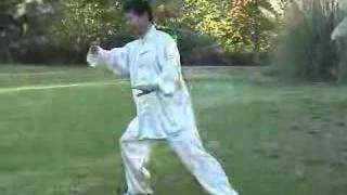 Taiji Compact Tai Chi for Healing in Tai Chi Form 24 [upl. by Franciska376]