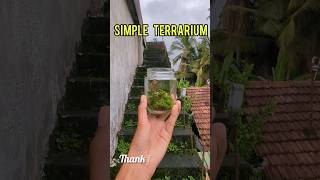 Making a simple terrarium craft experiment [upl. by Akinnej]