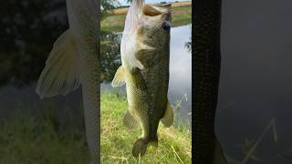 Dad vs Son Bass Battle fishing bassfishing [upl. by Christy213]