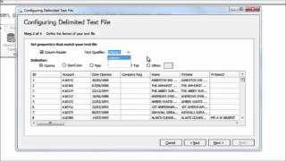 Acuate Data Profiling Tool How to use a Text File [upl. by Avrit]