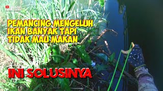 Kalau Lagi Hoki Ikannya Pada Merapat Semua  Ketapel Ikan  Slingshot Fish [upl. by Mohorva236]