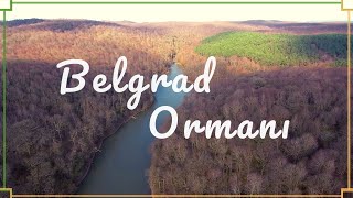 Belgrad Ormanı  İstanbul  Drone 4K [upl. by Gelya]