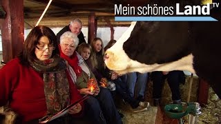 Weihnachten in der Lüneburger Heide  die schönsten Höfe Norddeutschlands NDR [upl. by Dougall]