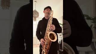 The Nearness Of You  Tenor Sax Cover Selmer Axos Tenor  Jody Jazz DV HR [upl. by Paolina597]