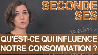 Questce qui influence notre consommation   SES  Seconde  Les Bons Profs [upl. by Renba]