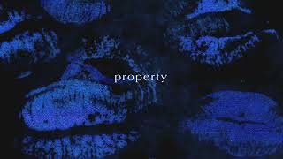 Nelccia  Property Hrs and Hrs [upl. by Ullman]