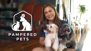 Meet Karen Davilas adorable Havanese dogs  Pampered Pets [upl. by Trust]