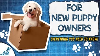 The Puppy Training Blueprint [upl. by Elreath]