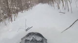 Backcountry 600 EFI in the deep pow [upl. by Ansela803]