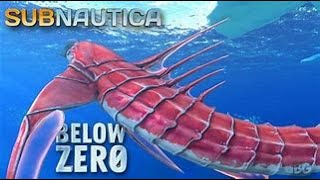 Chelicerate  Subnautica below zero [upl. by Eirtemed924]