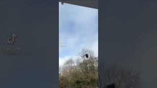 Another Wheelie Bin Flying  Storm Eunice UK [upl. by Artemisia]