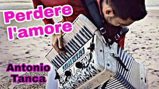 Perdere lamore Massimo Ranieri COVER fisarmonica Antonio Tanca [upl. by Light]