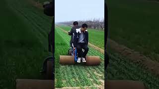 4kshortsvideo 6 viralshortsagriculturechina [upl. by Burhans66]