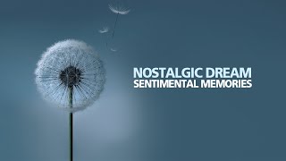 NOSTALGIC DREAM Delivers Sweet Sentimental Memories [upl. by Dnomasor852]