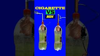 cigarette vs lungscigarette vs vape lungsvaping lungs vs cigarettes lungs [upl. by Wilton]