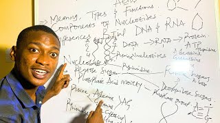 The Biochemistry of Nucleic Acids [upl. by Gathers]