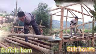 Build a stilt house Week 2 Most economical  Utilizing bamboo and wood from old buffalo barns [upl. by Tybalt]