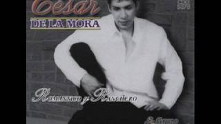 CESAR DE LA MORA Y SU GRUPO TORERO  TE SIGO AMANDO [upl. by Anitram693]