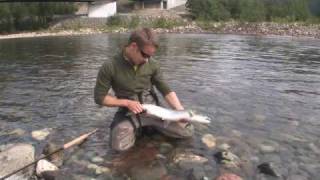 Gaula salmon fishing in Gaula [upl. by Coffee]