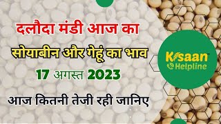 17 अगस्त 2023 आज का सोयाबीन और गेहूं का भाव daloda mandi bhav today soybean ka bhav gehu ka bhav [upl. by Leidba]