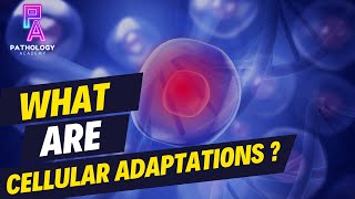 What Are Cellular Adaptations By Dr Aditi Kumar MD Pathology [upl. by Snow]