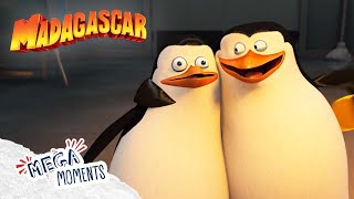 Private Saves the Day 🐧  Penguins of Madagascar  Compilation  Mega Moments [upl. by Haskell900]