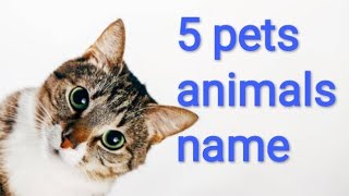 5 pet animals name in hindi and english make by jigyasa [upl. by Odlanir]