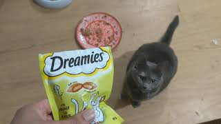 Dreamies Cat Treats [upl. by Kyle353]