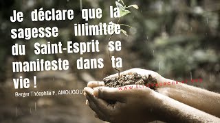 Invocation744Je déclare la sagesse illimitée du SaintEsprit se manifeste dans ta vie  6ᵉ partie [upl. by Burkle560]