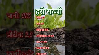 पालक पोषण से भरपूर हरी पत्तेदार सब्जी Spinach green spinach kheti kisan SHIVAM RAGHUVANSHI [upl. by Noreht]